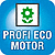 Profi-Eco Motor: Ja
